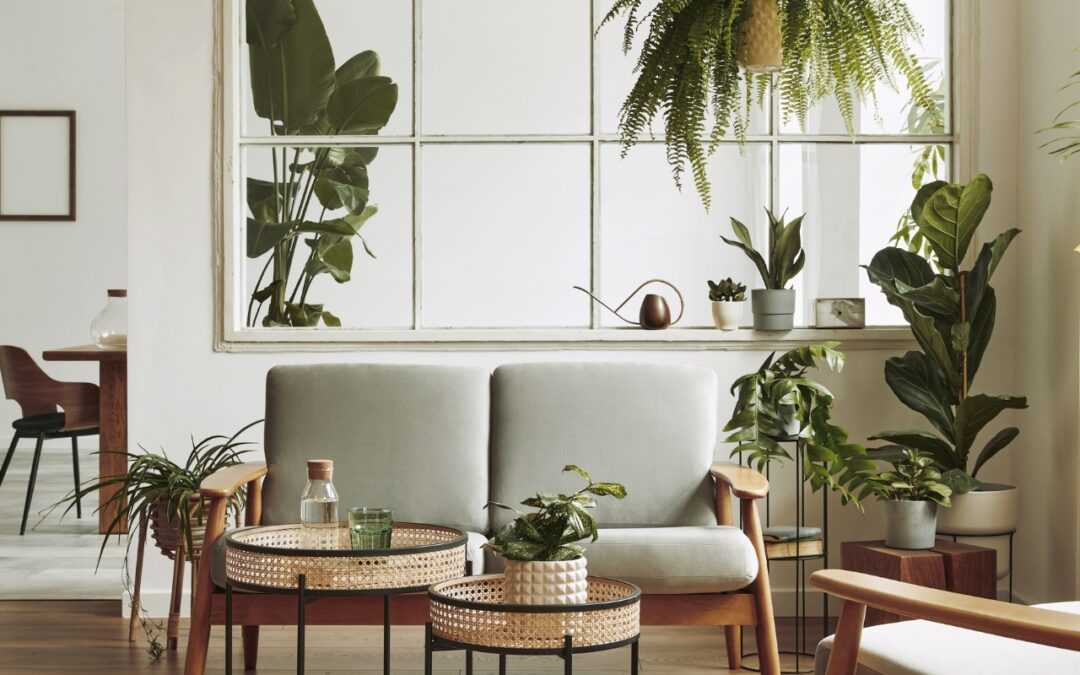 Cómo integrar elementos naturales en la decoración interior